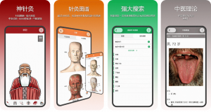 ZHS-Acupuncture